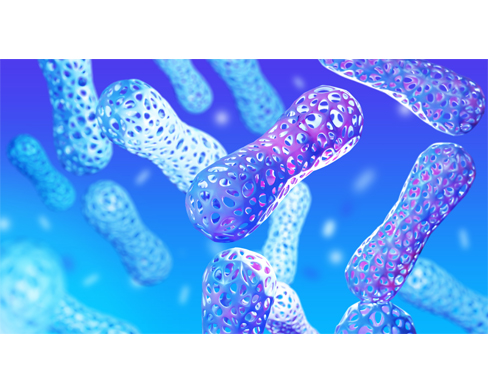 Chrisal Probiotic Solutions
