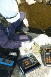 Environmental Services 