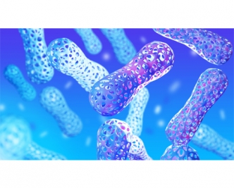Chrisal Probiotic Solutions